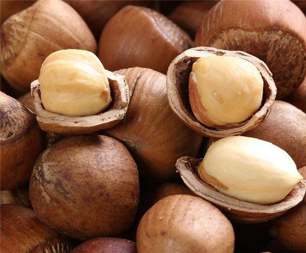 三千年華夏瑰寶 從“堅果之王”到冷門堅果的落寞轉身
